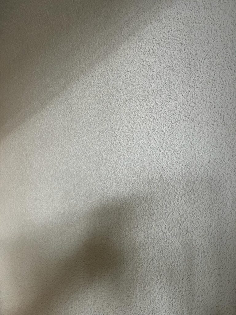 Internal plastering project Dublin — smooth wall finish by Causani Plastering